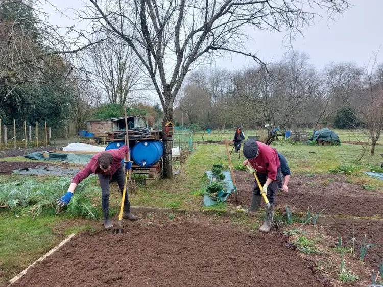 Jardin ilot merveilles